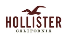 hollister earrings