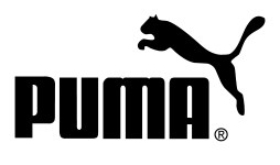 Logo Design Mountain on Puma Logo