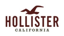 Hollister Logo - FAMOUS LOGOS