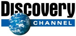 logo discovery